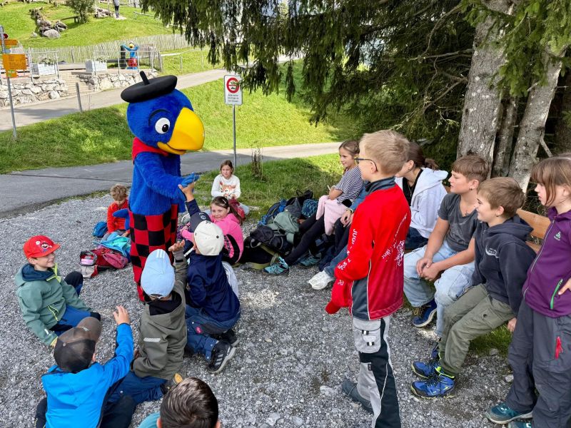 whatsapp image 2025 09 13 at 16.34.56  