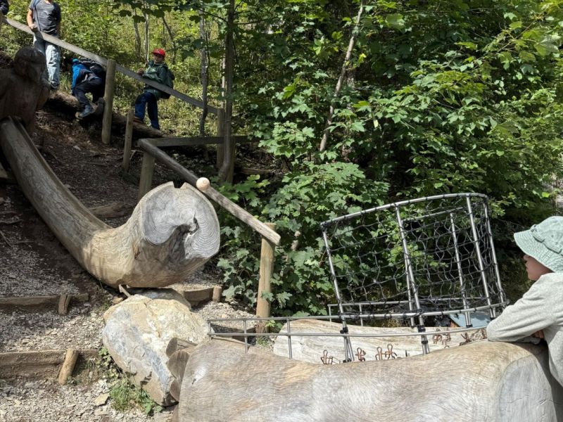 whatsapp image 2025 09 13 at 16.34.56  