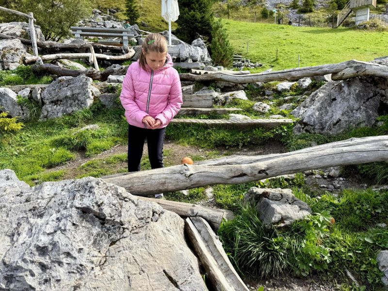 whatsapp image 2025 09 13 at.34.56