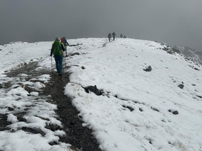 bd4203c8 91fe 4e58 8d7badcdf67